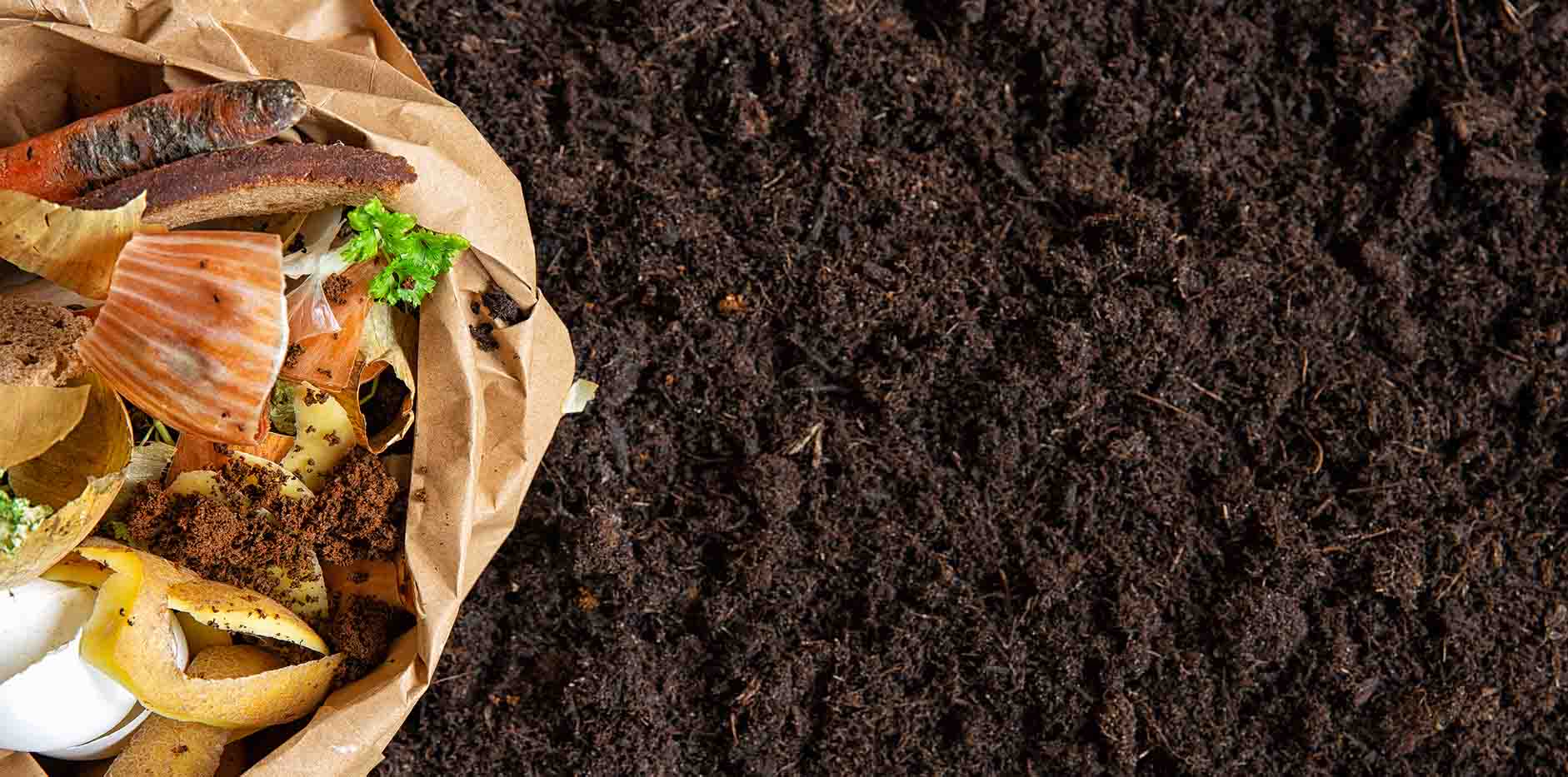 Kompost makinası Yemek Artıklarını Nasıl Kompost Haline Getiriyor?