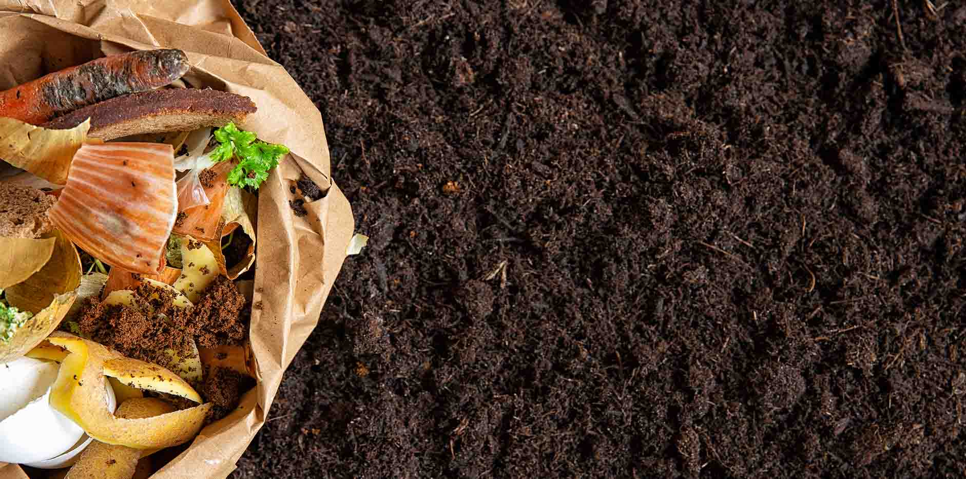 How does the compost machine turn food scraps into compost?