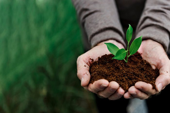 Organic Fertilizer Production